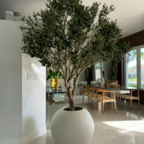 Oliveamel artificial plant in pot