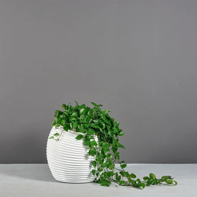 Moderades artificial plant in vase