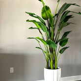 Alicaidor artificial plant in planter