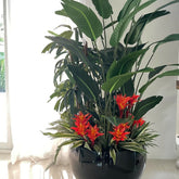 Tropionur artificial plant in decorative pot