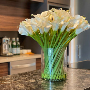 Calaoton artificial plant in decorative pot