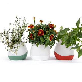 Floroalel artificial plant in vase