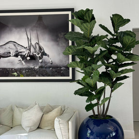 Incholel artificial plant in vase